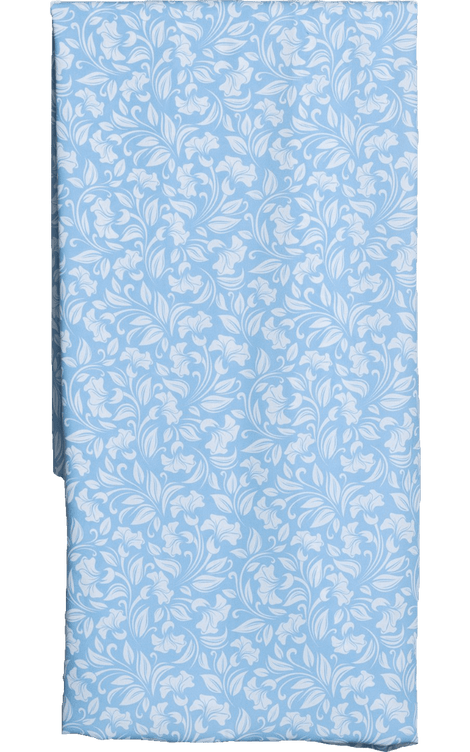 Blue Paisly